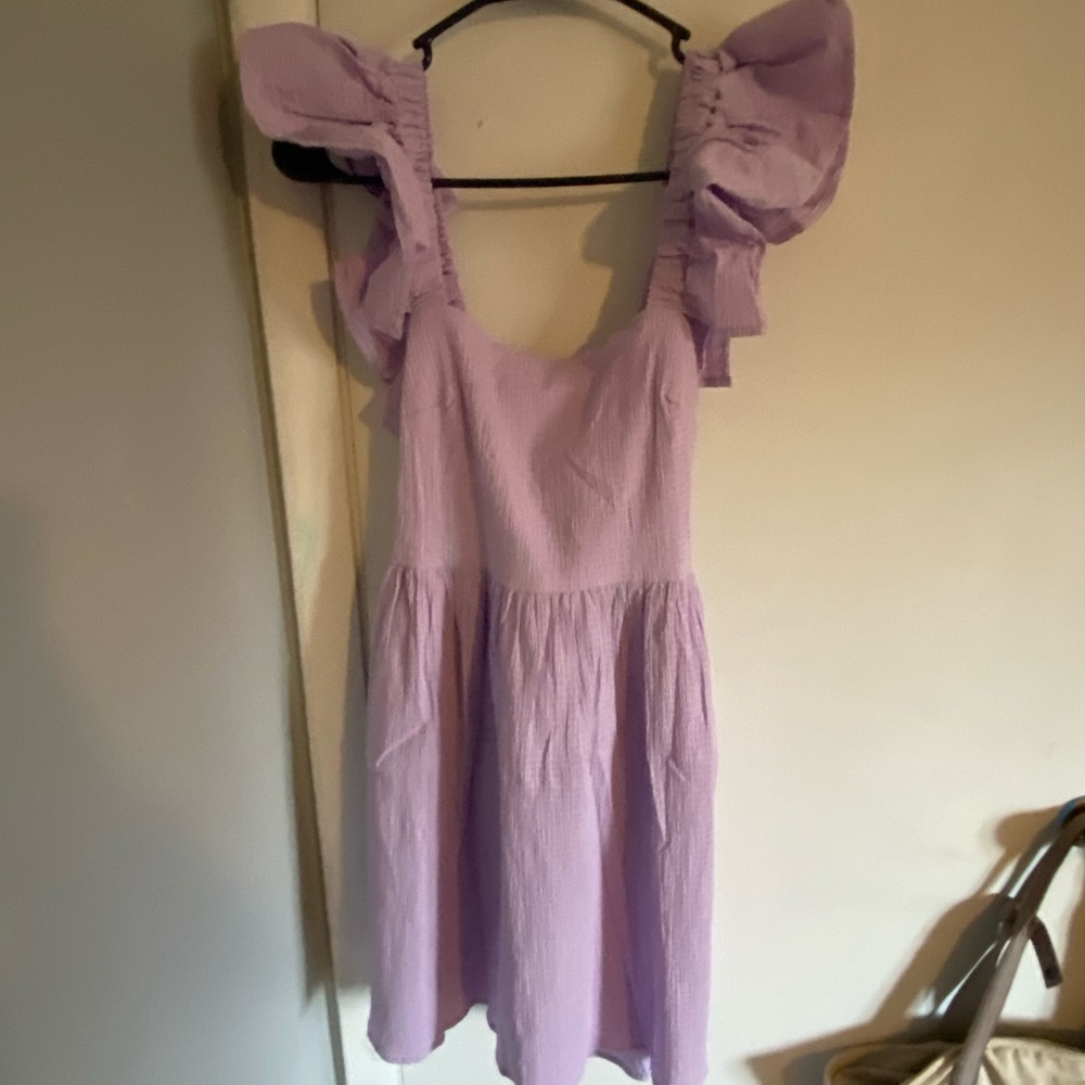 Purple NWT Francesca’s dress